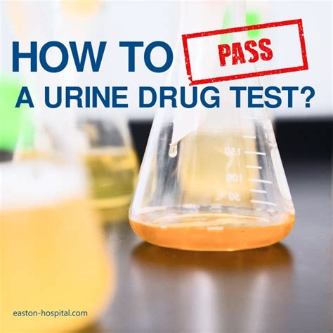 can a small bottle ofbpee pass abdrug test|Using someone elses urine : r/drugtesthelp .